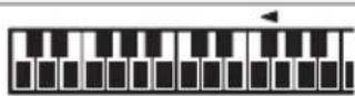 CASIO CTK3400SK - REMARQUE - 1
