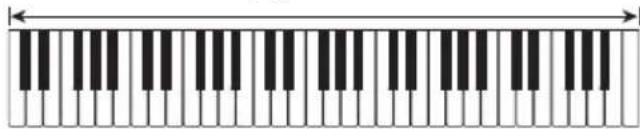 CASIO CTK3400SK - FULL RANGE CHORD - 2