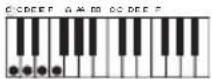 CASIO CTK3400SK - CASIO CHORD - 6