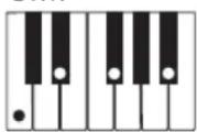 CASIO CTK1300 - REMARQUE - 9