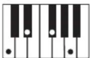 CASIO CTK1300 - REMARQUE - 15