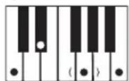 CASIO CTK1300 - REMARQUE - 14