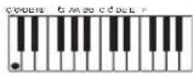CASIO CTK1300 - Types d'accords - 1