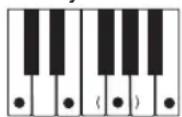 CASIO CTK1300 - REMARQUE - 8