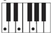 CASIO CTK1300 - REMARQUE - 1