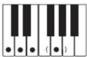 CASIO CTK1300 - REMARQUE - 12