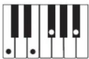 CASIO CTK1300 - REMARQUE - 10