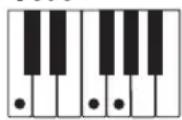 CASIO CTK1300 - REMARQUE - 5