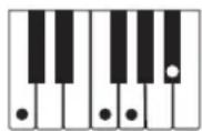 CASIO CTK1300 - REMARQUE - 11