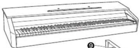 CASIO Celviano AP260 - Posez le piano sur le support. - 1