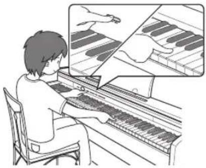 CASIO Celviano AP260 - Bouton FUNCTION - 1