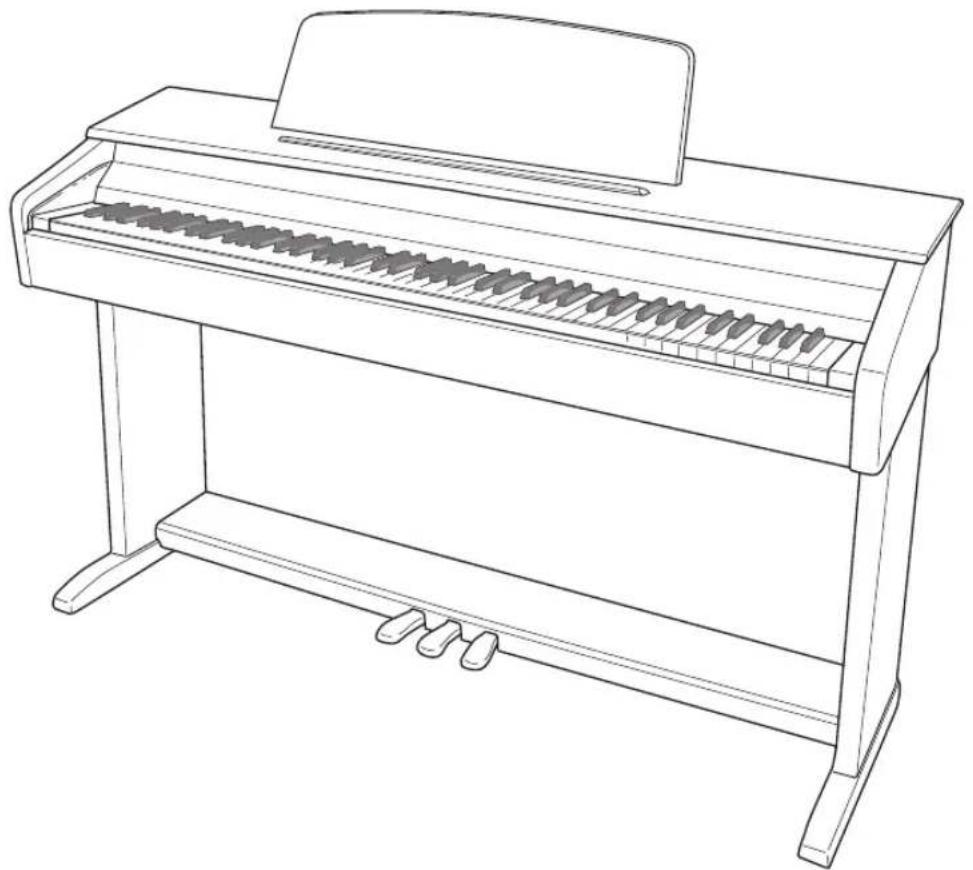 CASIO Celviano AP260 - Consignes de sécurité - 1