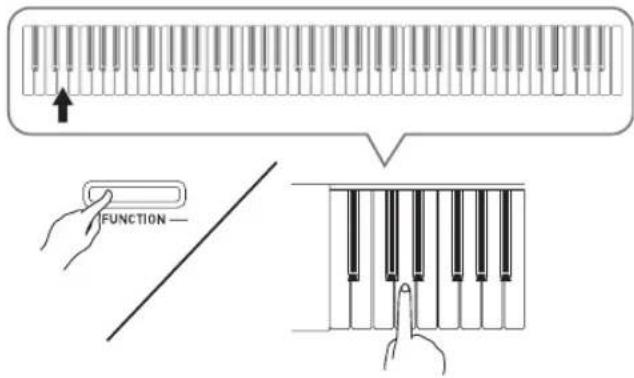 CASIO Celviano AP260 - IMPORTANT! - 1