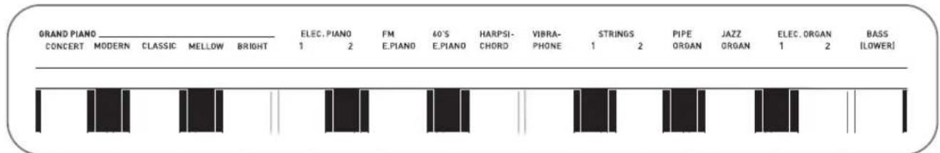 CASIO Celviano AP260 - Sélection et utilisation d'une sonorité - 1