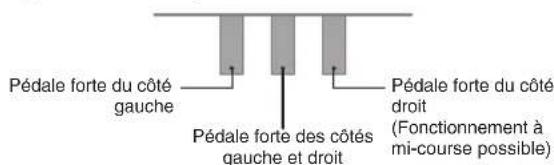 CASIO Celviano AP260 - Interprétation à quatre mains - 2
