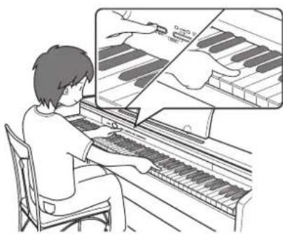 CASIO Celviano AP245 - Bouton FUNCTION - 1