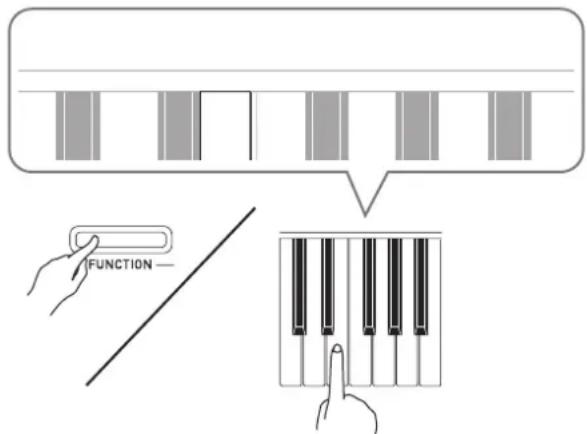 CASIO Celviano AP245 - IMPORTANT! - 1