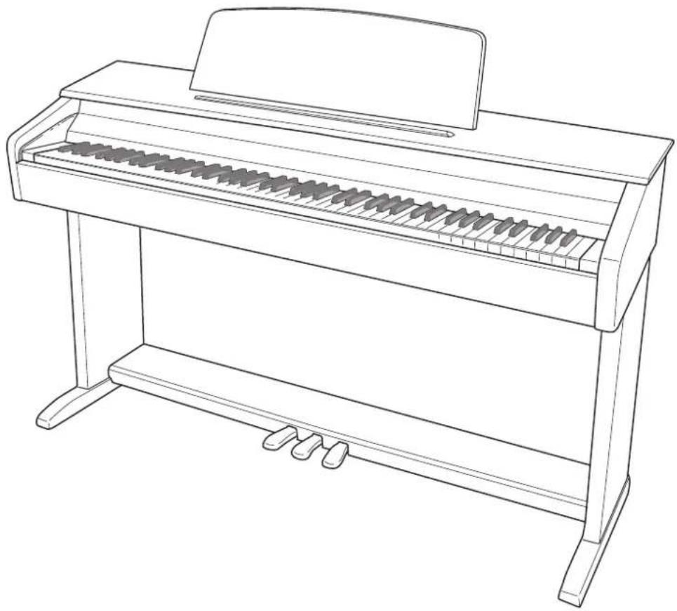 CASIO Celviano AP245 - Consignes de sécurité - 1