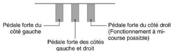 CASIO Celviano AP245 - Fonctionnement des pédales lors d'une interprétation à quatre mains - 1