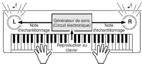 YAMAHA Portatone PSR450 - Qu'est-ce que la norme MIDI ? - 2