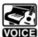 YAMAHA Portatone PSR450 - [SONG]  [VOICE] - 2