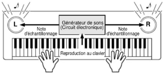 YAMAHA Portatone PSR290 - Qu'est-ce que la norme MIDI ? - 2