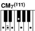 YAMAHA Portatone PSR290 - - Exemples d'accords en « C » - 25