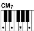 YAMAHA Portatone PSR290 - - Exemples d'accords en « C » - 17