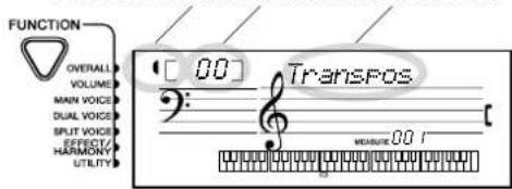 YAMAHA Portatone PSR273 - Réglages de fonction et indications - 2