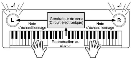 YAMAHA Portatone PSR275 - Qu'est-ce que la norme MIDI ? - 2