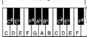 YAMAHA Portatone PSRE303 - Accords faciles - 5