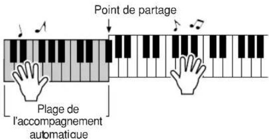 YAMAHA Portatone PSRE303 - Essayez de jouer d'autres accords de la main gauche et une mélodie de la main droite. - 1