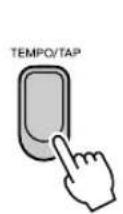 YAMAHA Portatone PSRE303 - Appuyez sur la touche [TEMPO/TAP] (Tempo/Tapotement) pour afficher le tempo. - 1