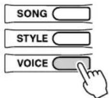 YAMAHA Portatone PSRE303 - Appuyez sur la touche [VOICE]. - 1