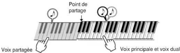 YAMAHA Portatone PSRE303 - Reproduction de voix différentes avec la main gauche et la main droite – Split - 1