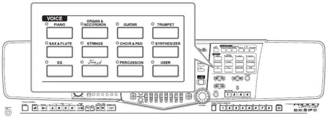 YAMAHA Portatone PSR2000 - Voix - 1