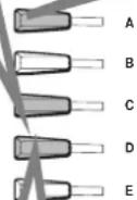YAMAHA Portatone PSR2000 - Principes d'utilisation — Organisation des données - 4