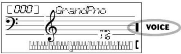YAMAHA Portatone PSR170 - Appuyez sur la touche [VOICE]. - 2