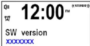 DUAL DAB 31 - Come trovare la versione software - 1