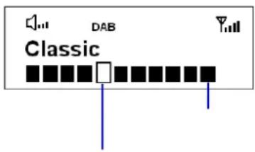 DUAL DAB 31 - Visualizzazione delle informazioni - 1