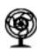 Reflexion CLR2970KCD - 230v~ - 4