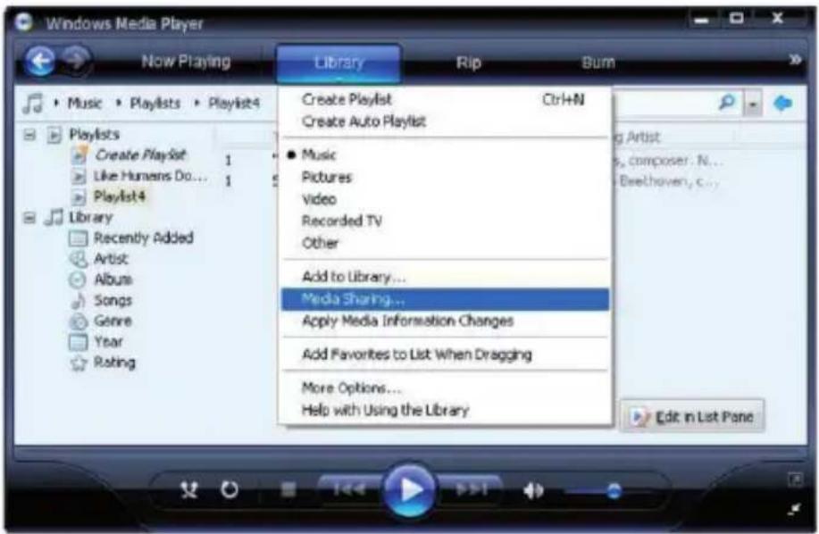 dnt IPDio mini - Selecting 'Media Sharing...' for Windows Media Player11 : - 1