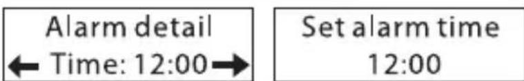 BLAUPUNKT RXD10 - Set the Alarms - 1