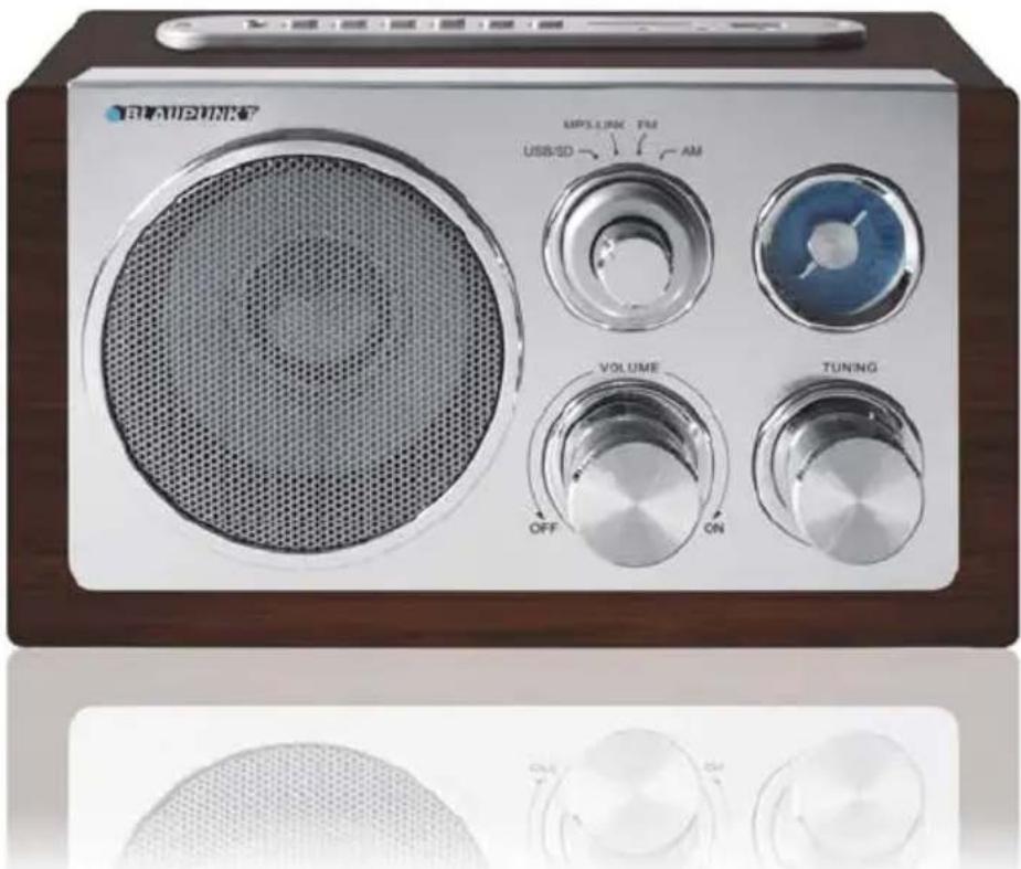BLAUPUNKT RX 191 - Manuel d'utilisation - 1
