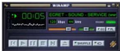 Noxon IRadio for iPod - http://www.shoutcast.com - 1