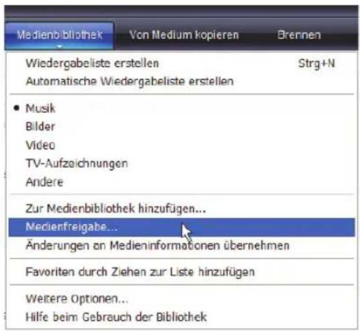 Terris IWR 241 - Musiksammlung wiedergeben (Musik Archiv) - 1