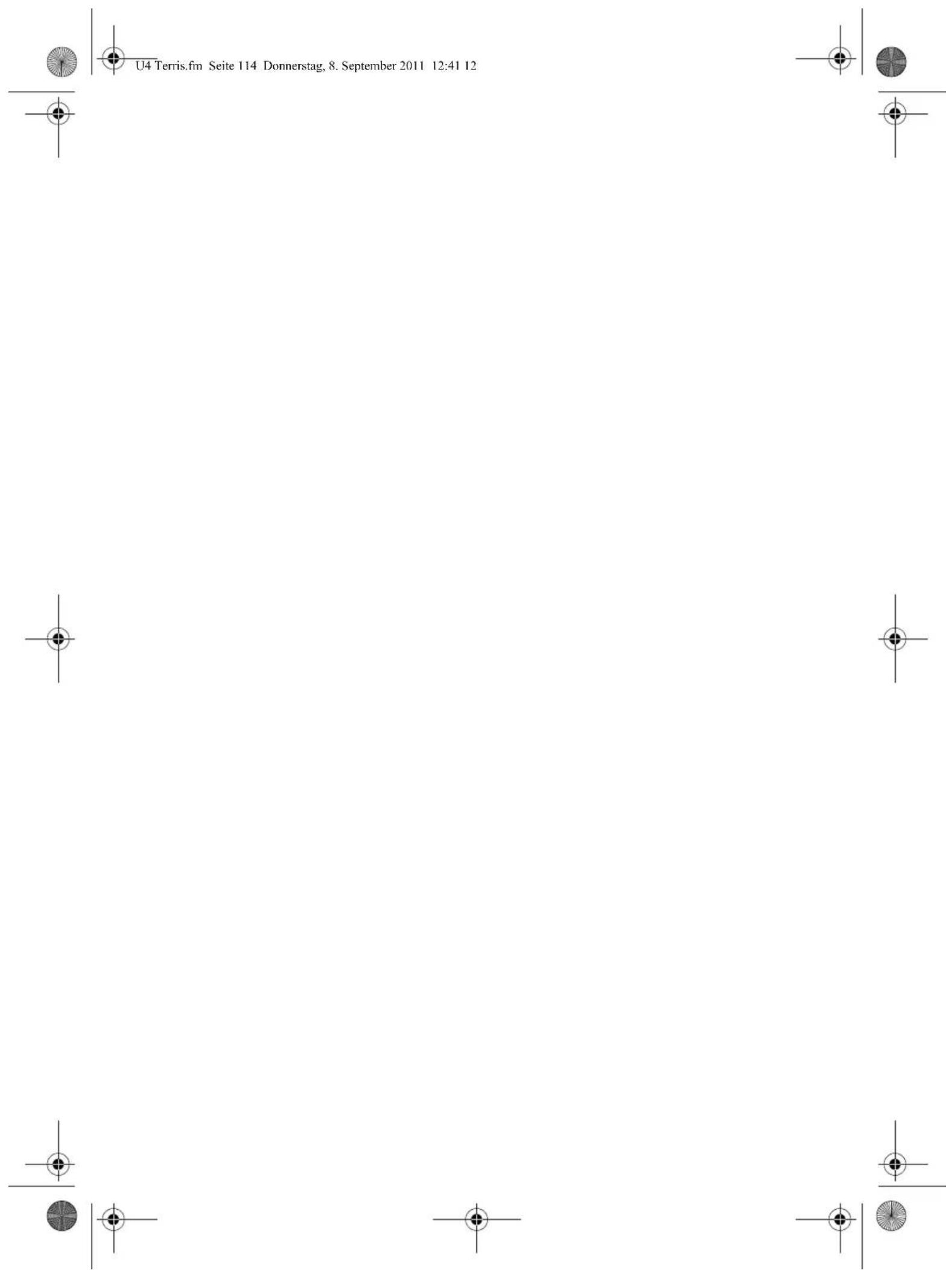 Terris IWR 114 - GARANTIESCHEIN - 2