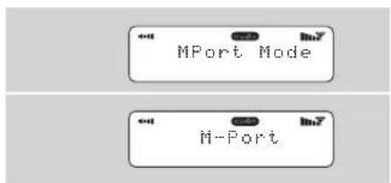 REVO Blik - Utilizzo MPort - 2