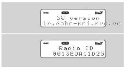REVO Blik - Version du logiciel et identité de la radio - 1