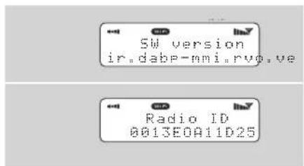 REVO Blik - Software Version und Radio ID - 1